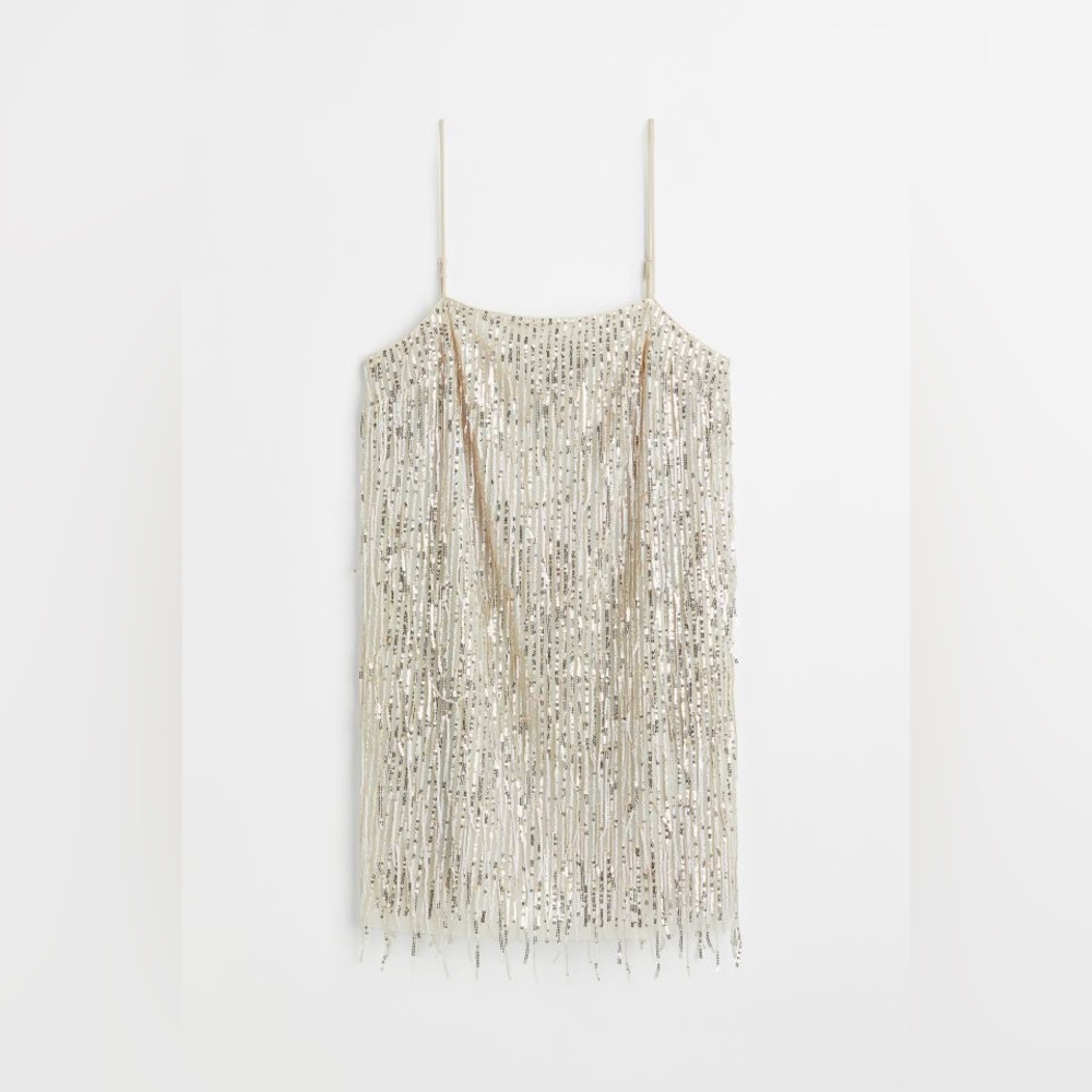 NWT Sequined Dress with Fringe Hem Size XS